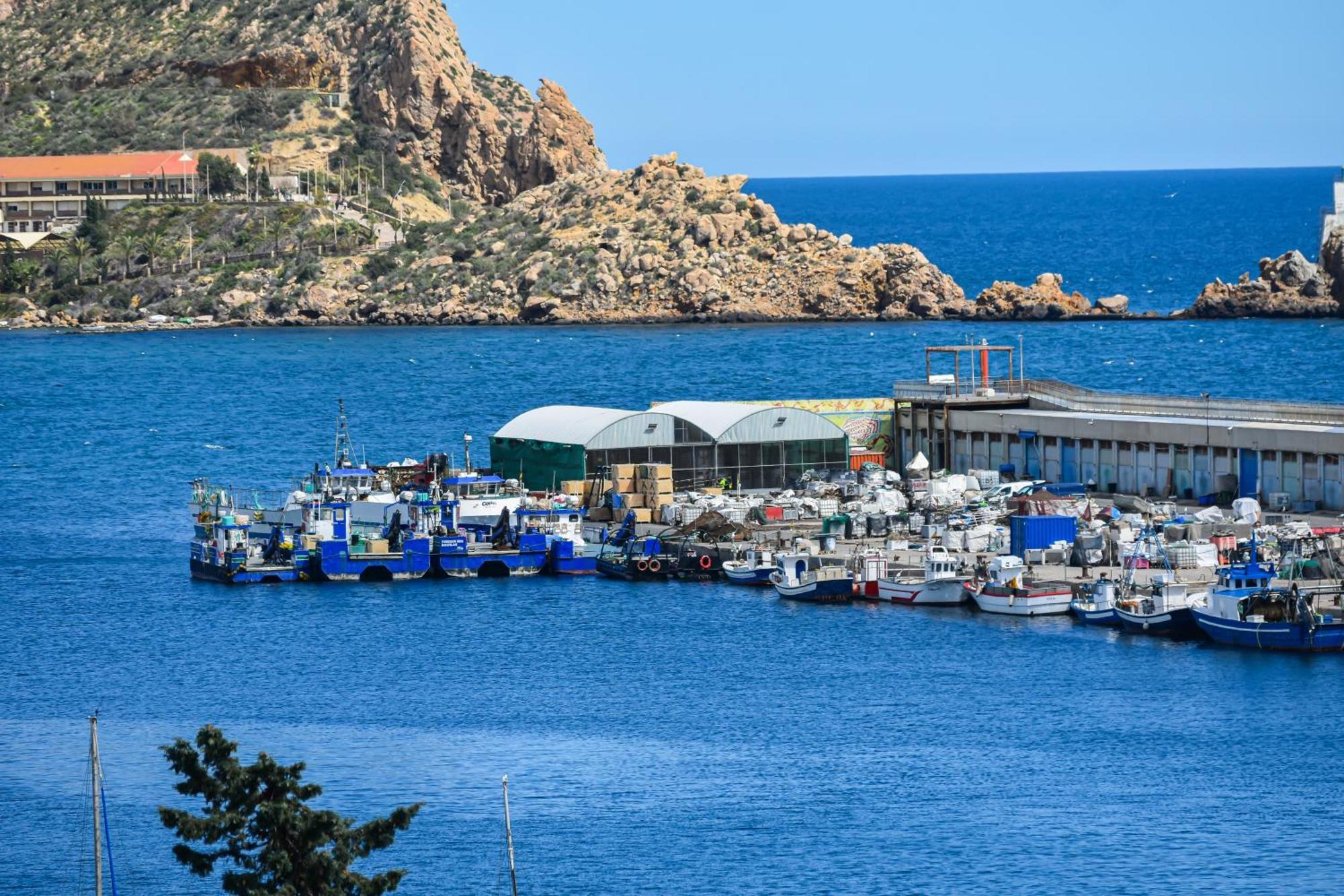 Dream View Aguilas - By Aloha Palma מראה חיצוני תמונה